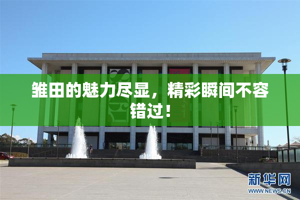 雏田的魅力尽显，精彩瞬间不容错过！