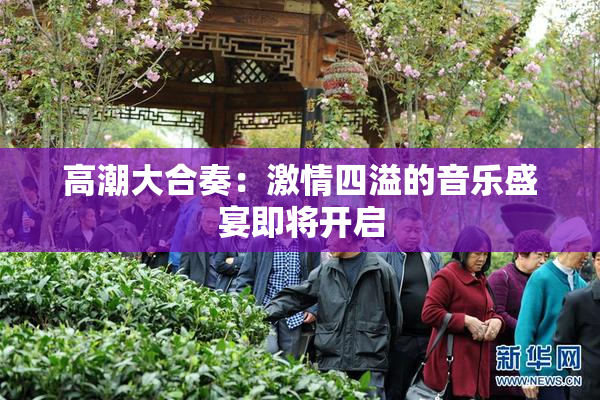 高潮大合奏：激情四溢的音乐盛宴即将开启