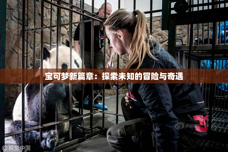 宝可梦新篇章：探索未知的冒险与奇遇