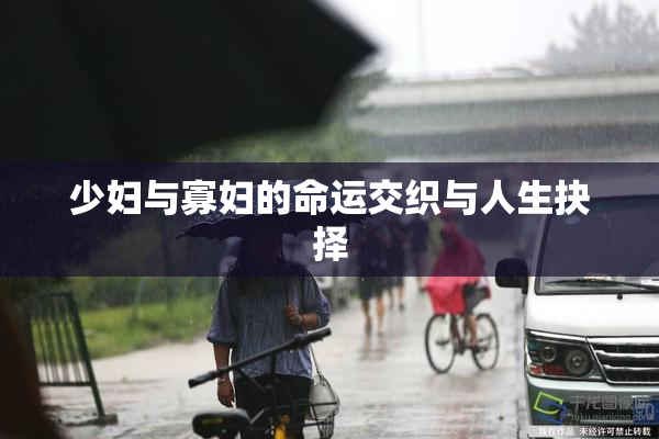 少妇与寡妇的命运交织与人生抉择