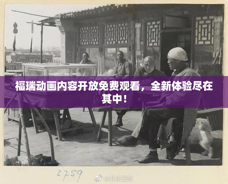 福瑞动画内容开放免费观看，全新体验尽在其中！