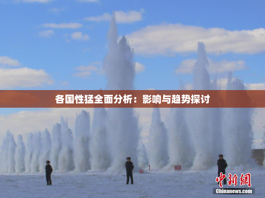 各国性猛全面分析：影响与趋势探讨