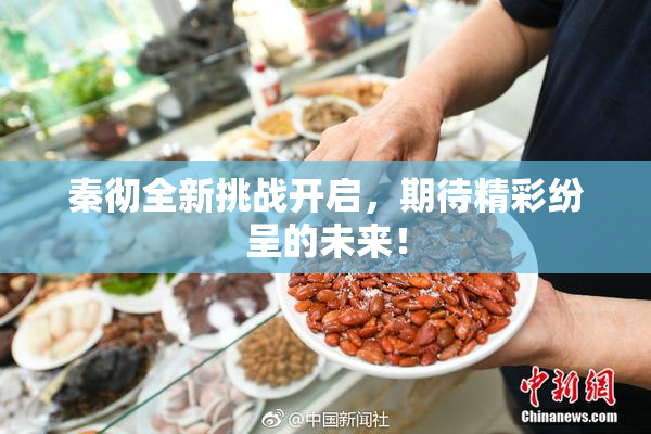 秦彻全新挑战开启，期待精彩纷呈的未来！