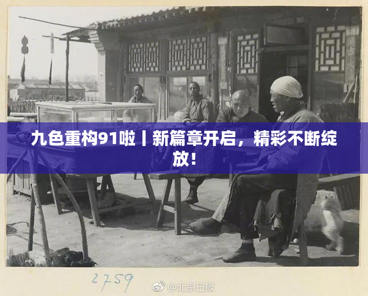 九色重构91啦丨新篇章开启，精彩不断绽放！