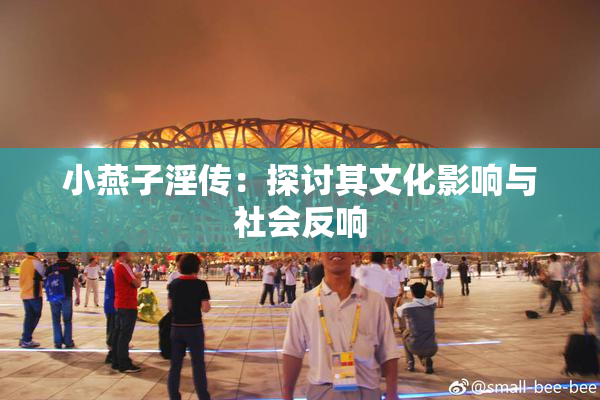 小燕子淫传：探讨其文化影响与社会反响