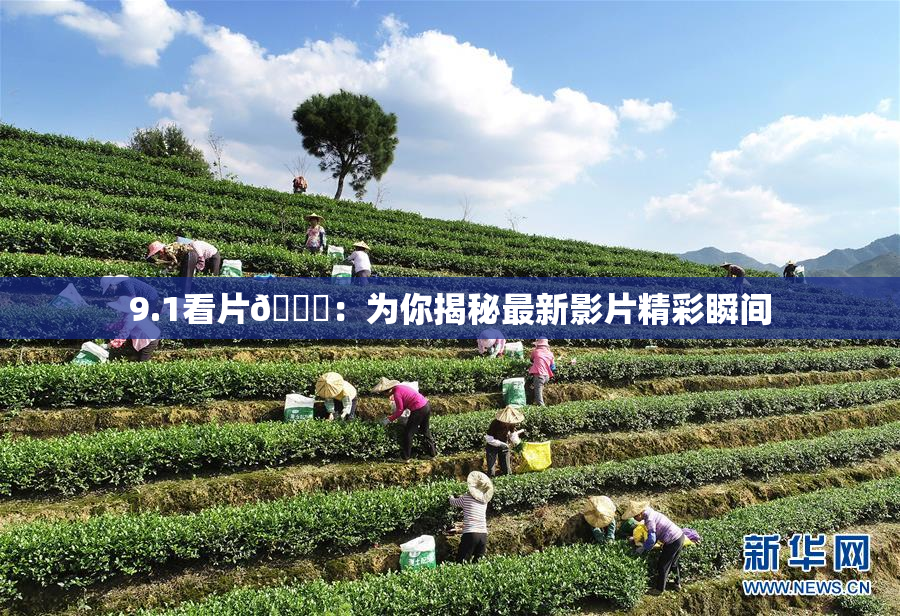 9.1看片🐔：为你揭秘最新影片精彩瞬间