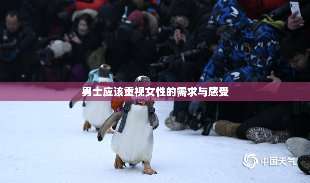 男士应该重视女性的需求与感受