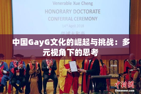 中国GayG文化的崛起与挑战：多元视角下的思考