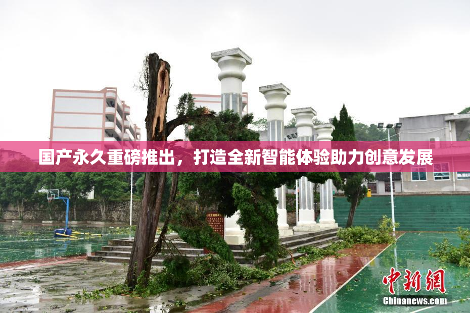 国产永久重磅推出，打造全新智能体验助力创意发展