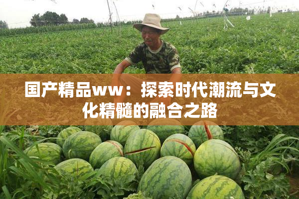 国产精品ww：探索时代潮流与文化精髓的融合之路