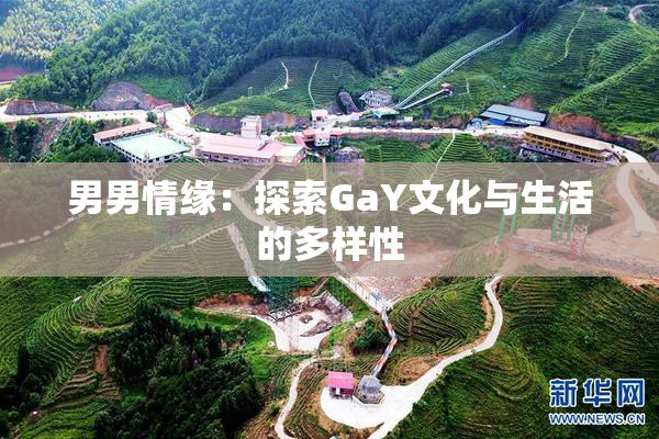男男情缘：探索GaY文化与生活的多样性