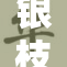 银枝波提欧r盛大揭幕，前景备受期待