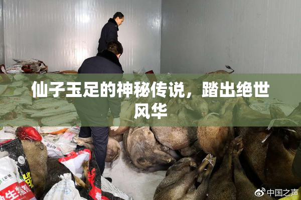 仙子玉足的神秘传说，踏出绝世风华