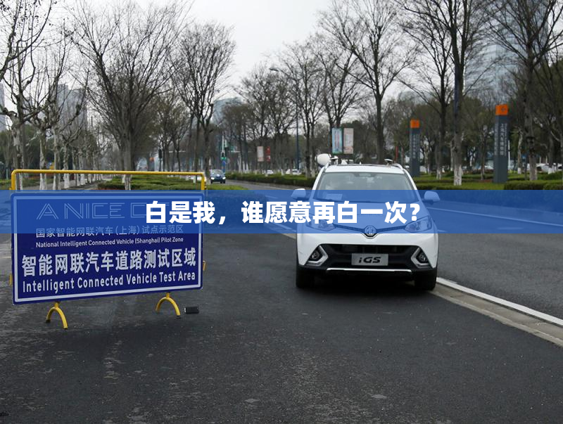 白是我，谁愿意再白一次？