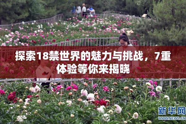 探索18禁世界的魅力与挑战，7重体验等你来揭晓
