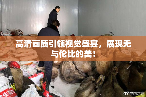高清画质引领视觉盛宴，展现无与伦比的美！