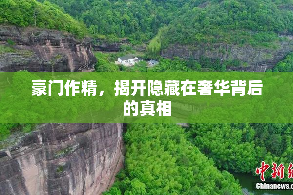 豪门作精，揭开隐藏在奢华背后的真相