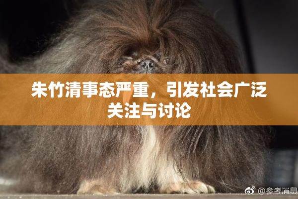 朱竹清事态严重，引发社会广泛关注与讨论