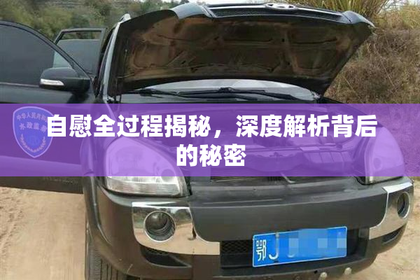 自慰全过程揭秘，深度解析背后的秘密