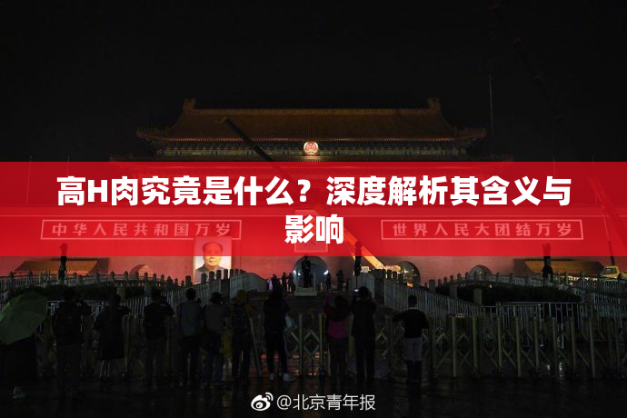 高H肉究竟是什么？深度解析其含义与影响