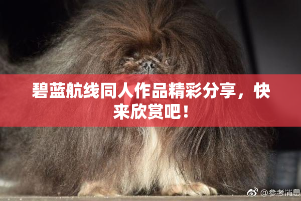 碧蓝航线同人作品精彩分享，快来欣赏吧！