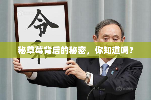 秘草莓背后的秘密，你知道吗？