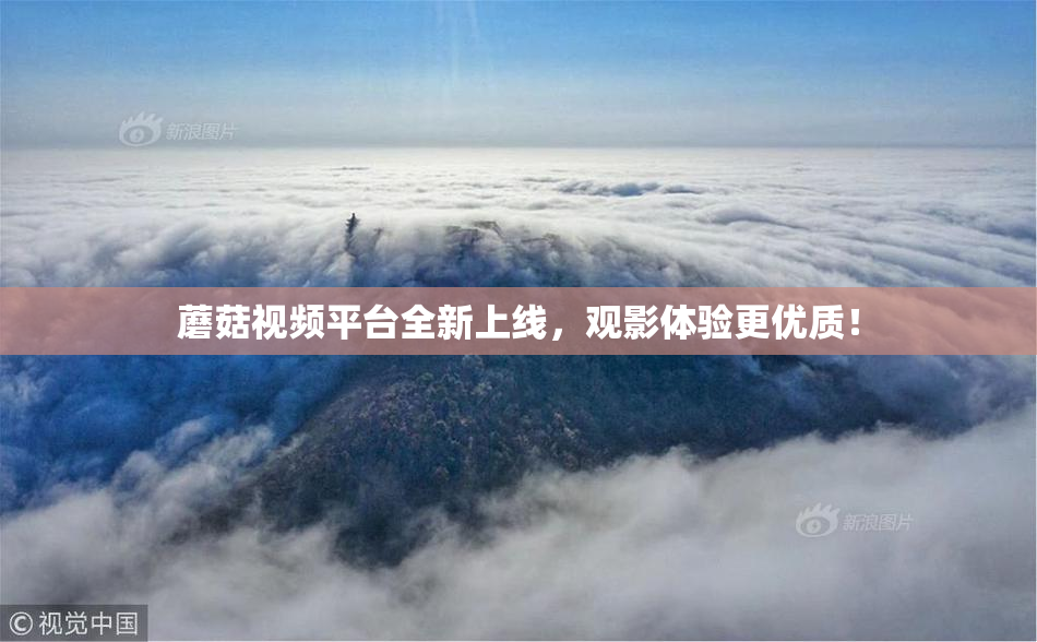 蘑菇视频平台全新上线，观影体验更优质！