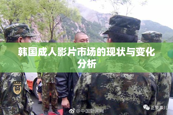 韩国成人影片市场的现状与变化分析
