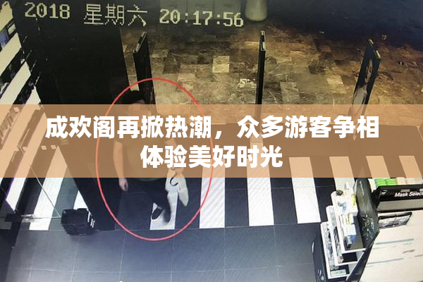 成欢阁再掀热潮，众多游客争相体验美好时光