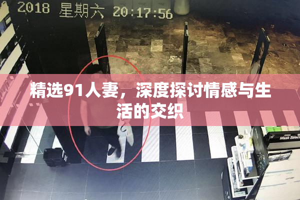 精选91人妻，深度探讨情感与生活的交织