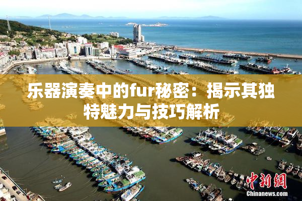 乐器演奏中的fur秘密：揭示其独特魅力与技巧解析