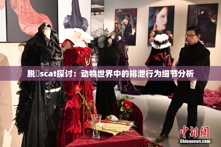 脱糞scat探讨：动物世界中的排泄行为细节分析
