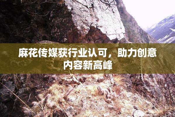 麻花传媒获行业认可，助力创意内容新高峰