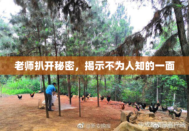 老师扒开秘密，揭示不为人知的一面