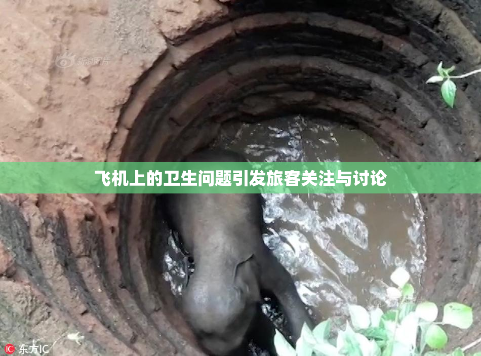 飞机上的卫生问题引发旅客关注与讨论