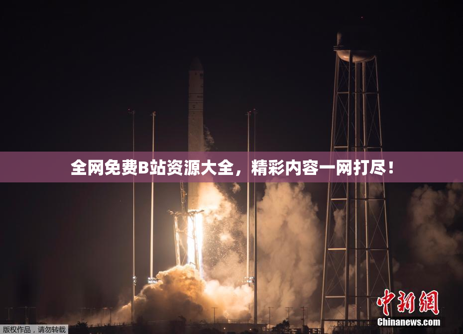 全网免费B站资源大全，精彩内容一网打尽！