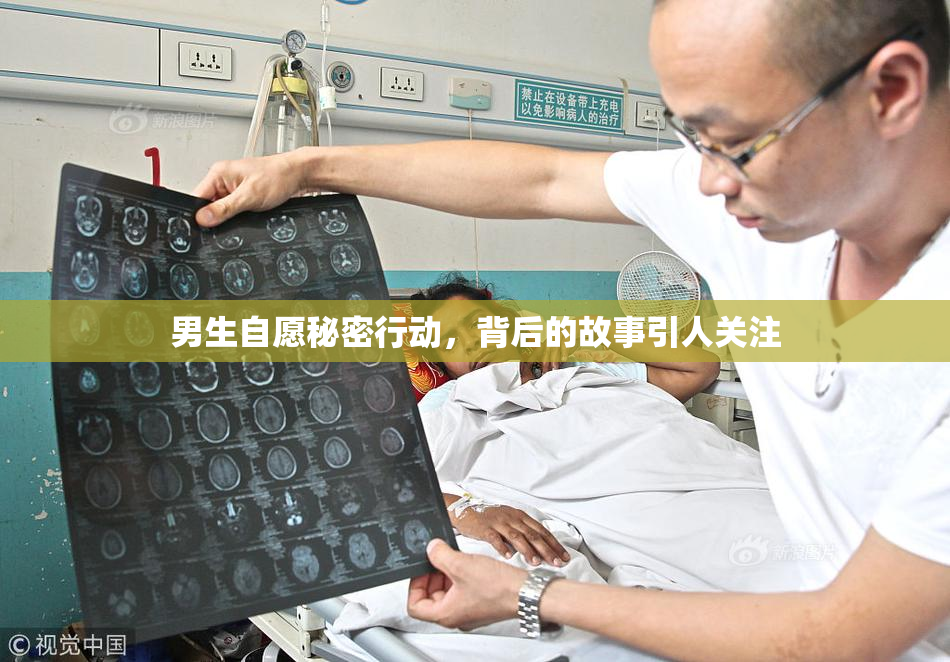 男生自愿秘密行动，背后的故事引人关注