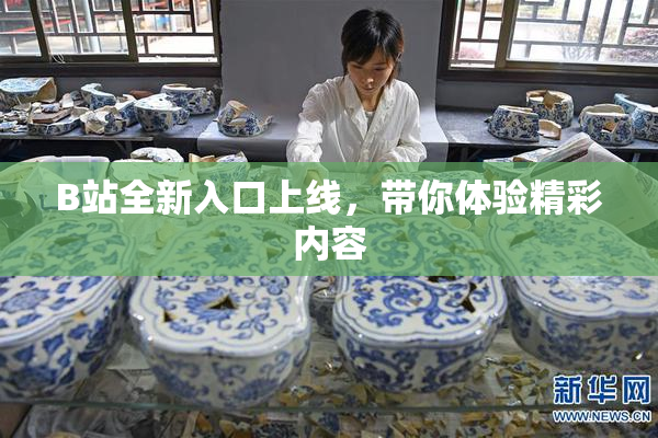 B站全新入口上线，带你体验精彩内容