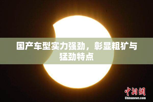 国产车型实力强劲，彰显粗犷与猛劲特点