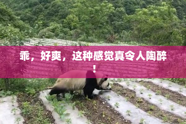 乖，好爽，这种感觉真令人陶醉！