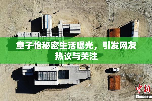章子怡秘密生活曝光，引发网友热议与关注
