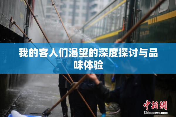 我的客人们渴望的深度探讨与品味体验