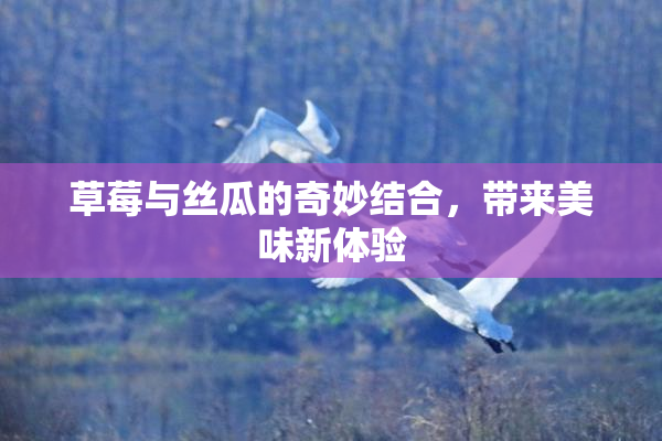 草莓与丝瓜的奇妙结合，带来美味新体验