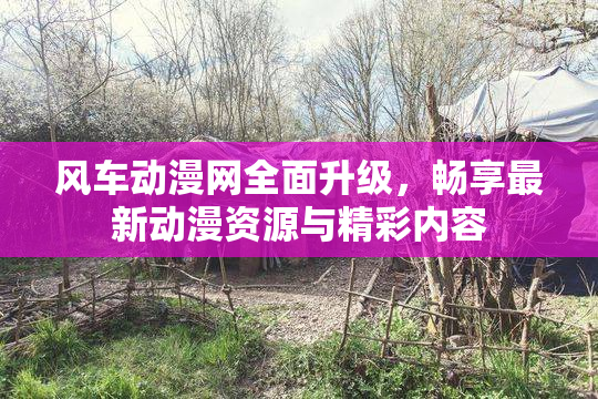 风车动漫网全面升级，畅享最新动漫资源与精彩内容