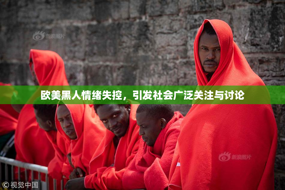 欧美黑人情绪失控，引发社会广泛关注与讨论