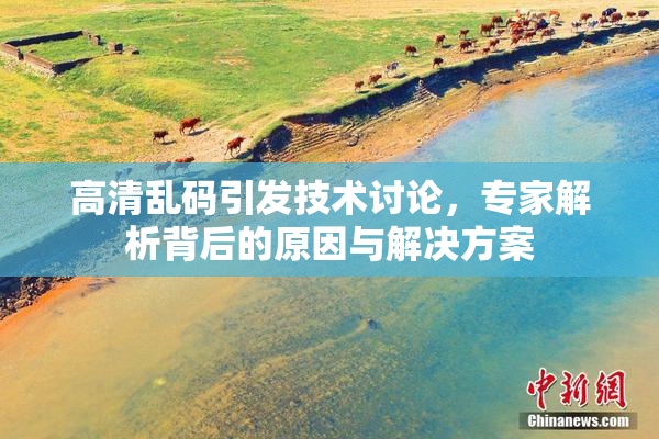 高清乱码引发技术讨论，专家解析背后的原因与解决方案
