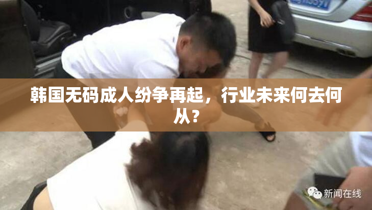 韩国无码成人纷争再起，行业未来何去何从？