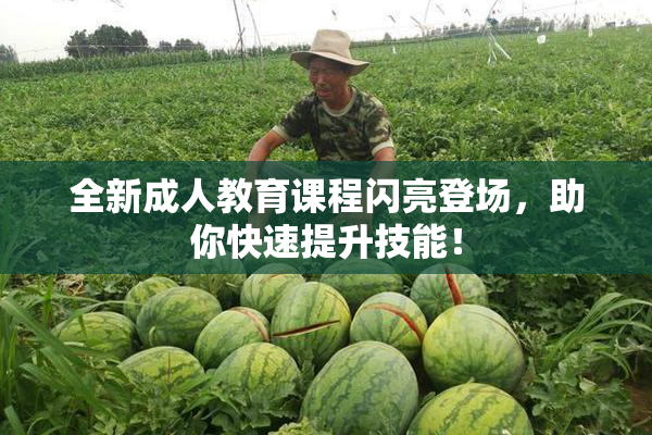 全新成人教育课程闪亮登场，助你快速提升技能！
