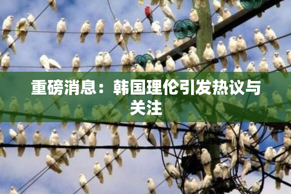 重磅消息：韩国理伦引发热议与关注