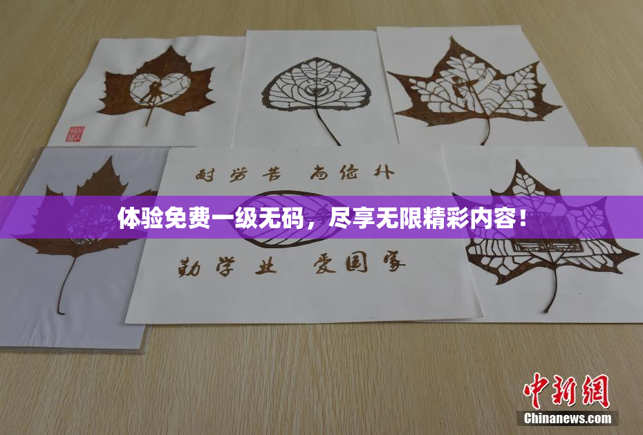 体验免费一级无码，尽享无限精彩内容！
